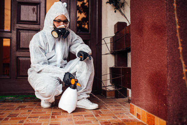 Reliable Ant Control contractor in Simi Valley, CA by Show Me Pest Control